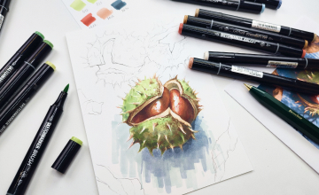 Реалистичный каштан спиртовыми маркерами