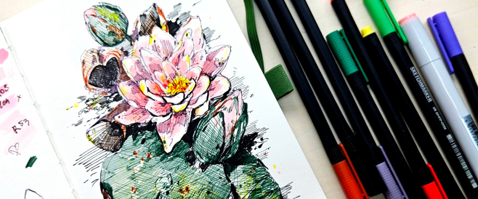 КУВШИНКА | ботаника в цветной графике