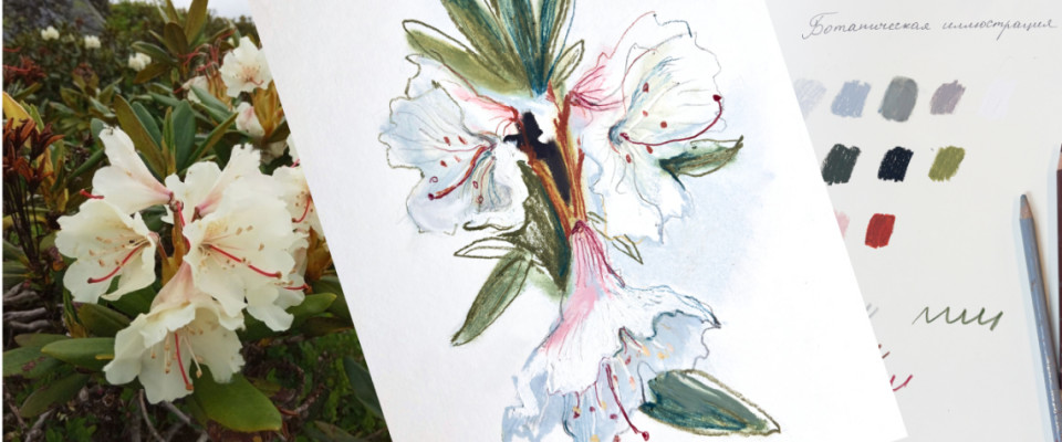 Цветочная композиция|пошаговый урок масляной пастелью