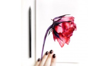 Работа автора курса