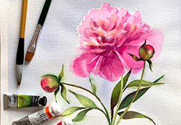 Рисуем Пион